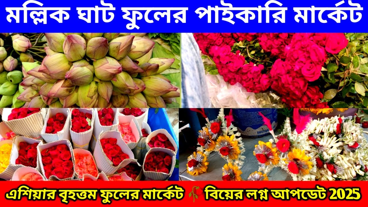 মল্লিক ঘাট ফুল মার্কেট | kolkata flower market | wholesale flower market Mela in howrah