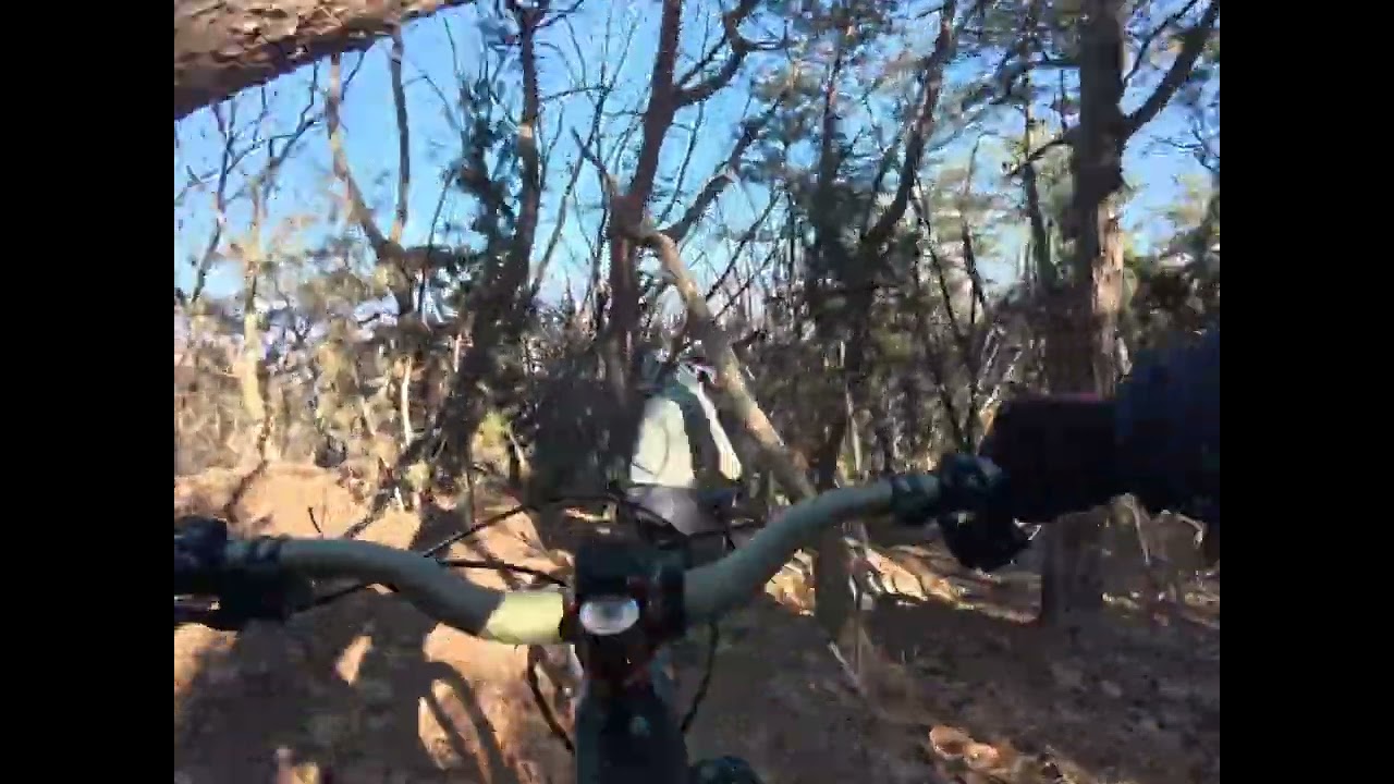 새해 첫 날 velduro 와 도락산을...  #화정엠티비 #emtb #velduro 