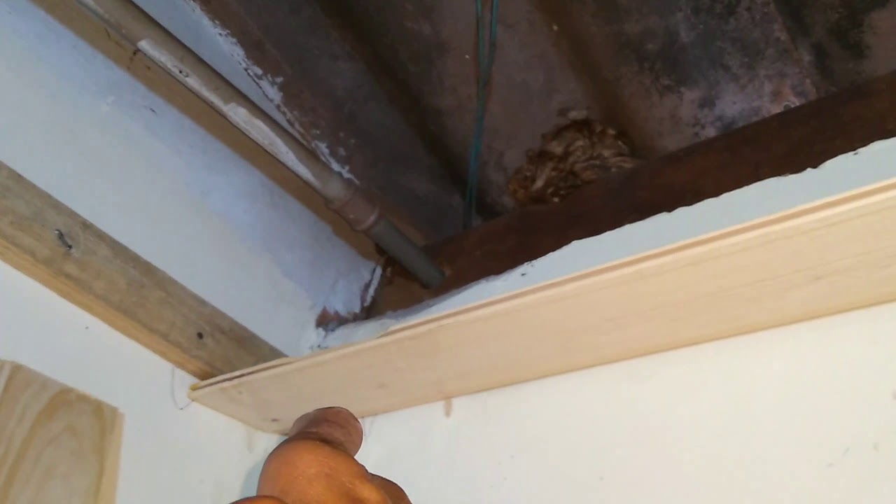 Como fazer forro de pinus em residência