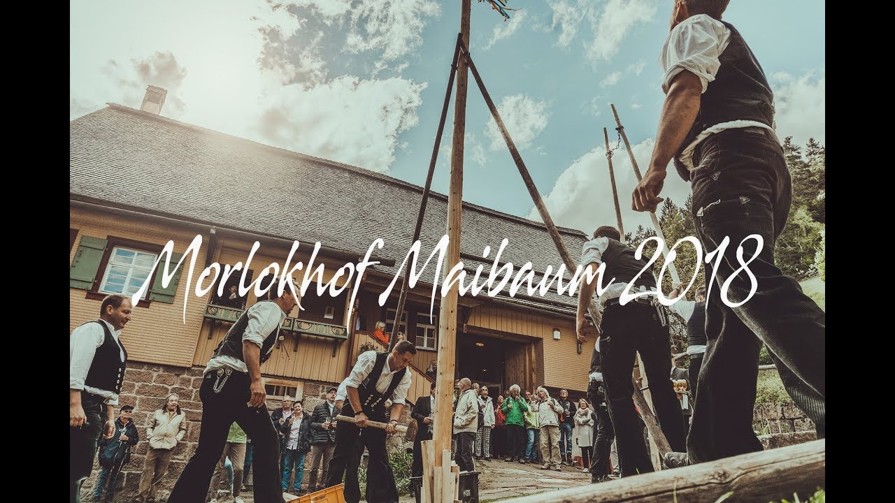 Maibaum Schleh