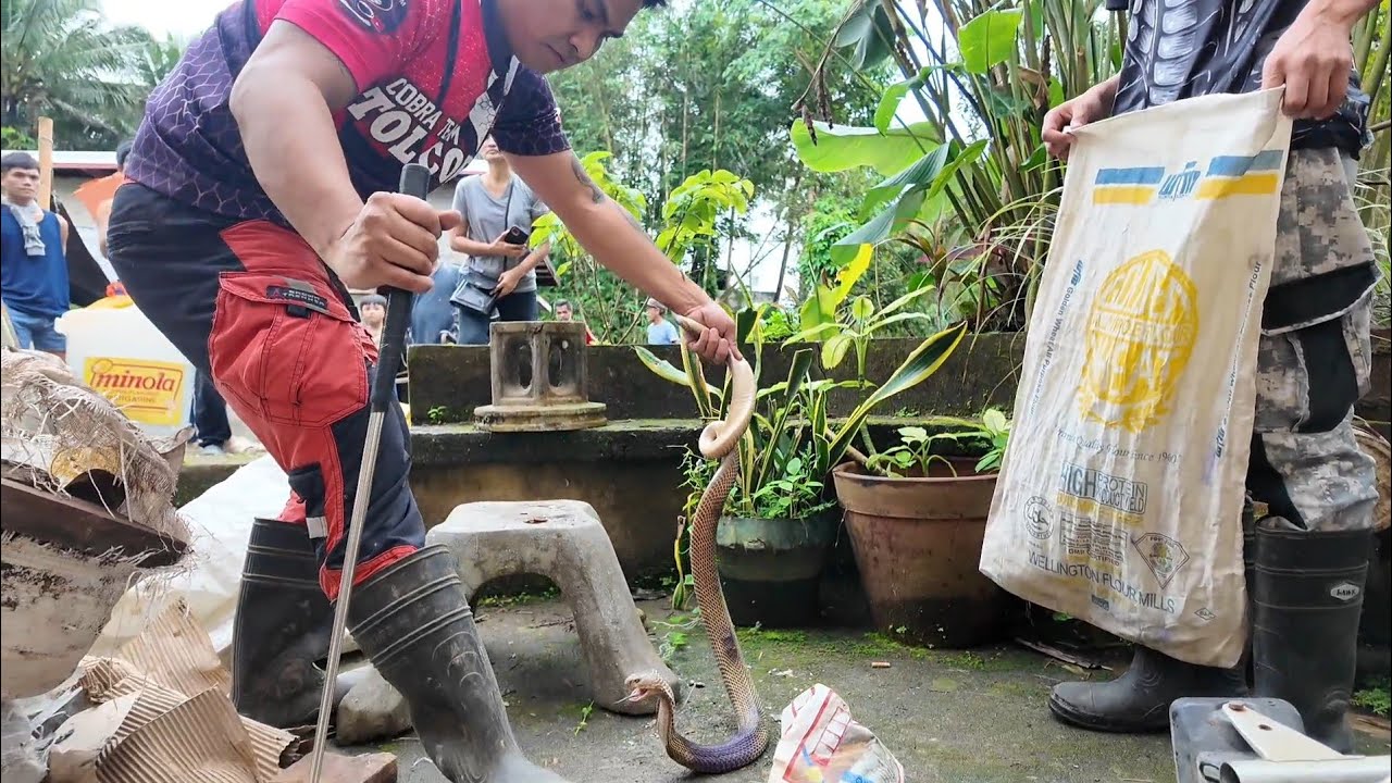BUDEGA NG SIMBAHAN TINIRAHAN NG JUMBO COBRA LILIW LAGUNA