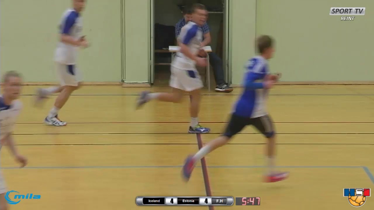 Handbolti.U21 landsleikur Iceland - Estonia 11.01.2015