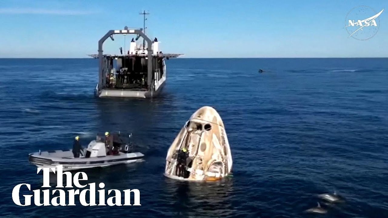Dolphins welcome Nasa astronauts stuck in space back to Earth