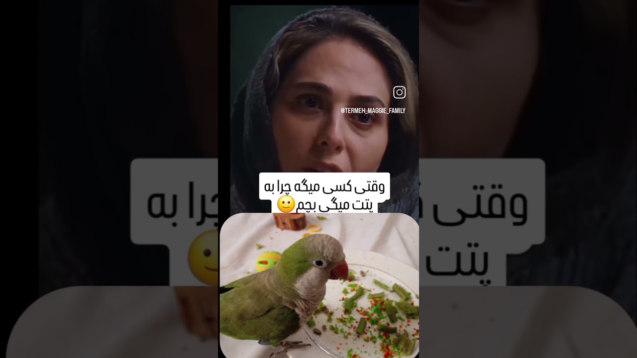 nah bah heyvan azari .ma heyvanatmon ro mosl becheh vaghei dost darim