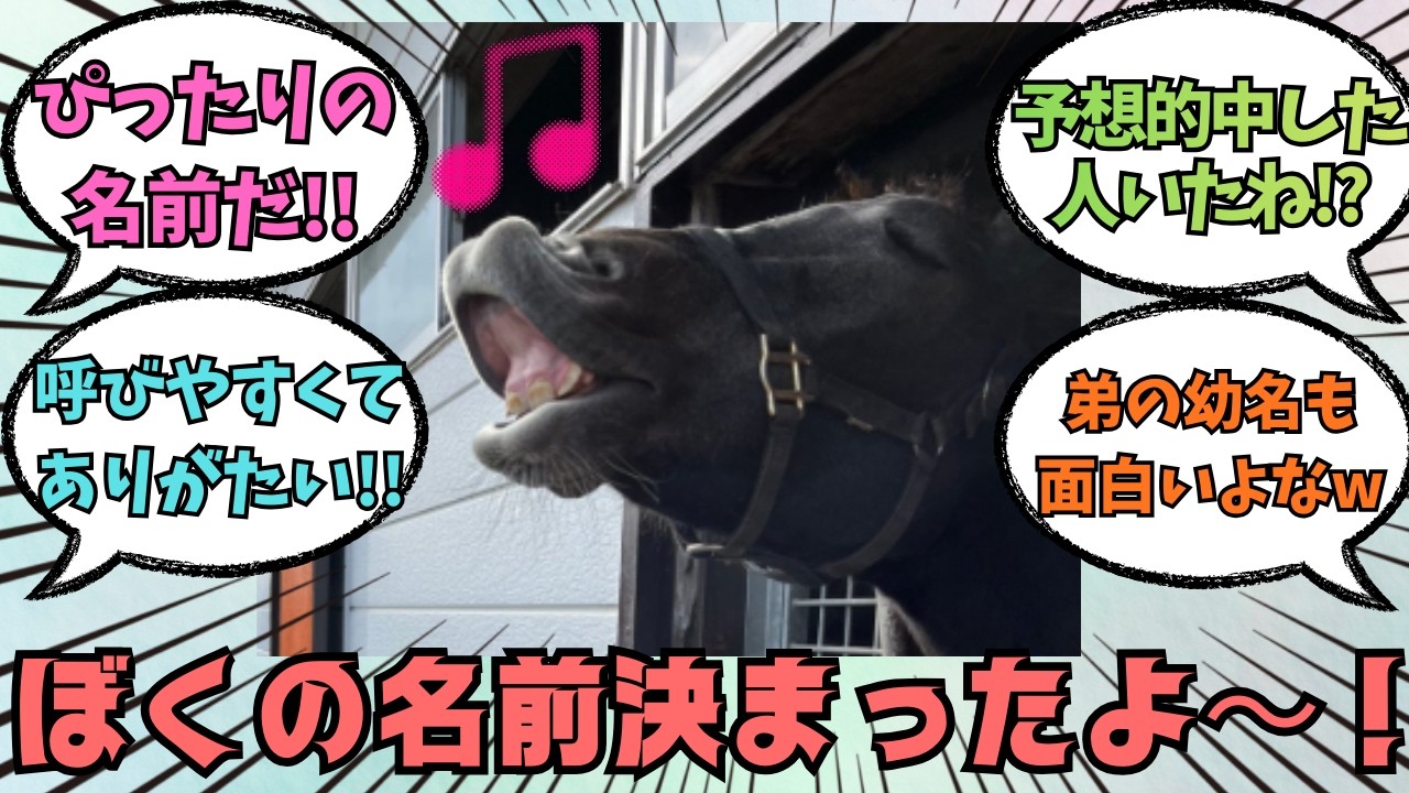 ★1万回突破★【コルシカ】バケツ職人の正式な名前が決定！！に対する競馬好きの反応【競馬の反応集】