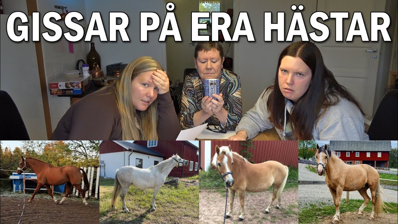 Gissar mankhöjd, ras OCH inriktning på era hästar!