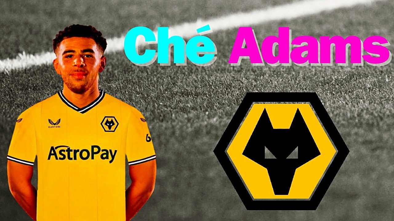 Ch&eacute; Adams welcome to Wolverhampton ★Style of Play★Goals and assists