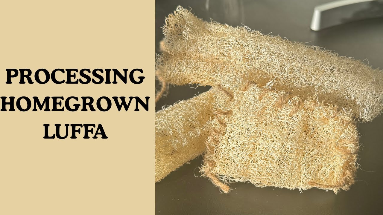 Processing Homegrown Luffa