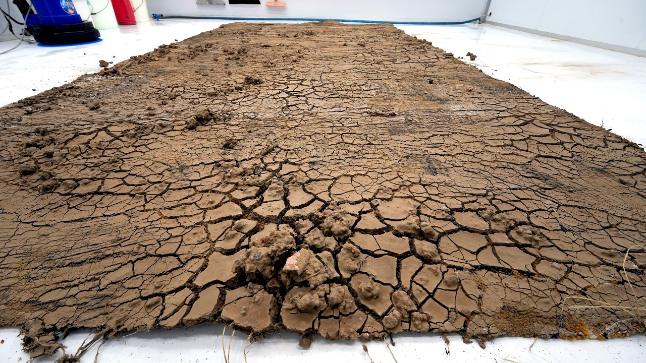 20 Years of Cracked Mud Covered This Massive Rug - Satisfying Carpet Cleaning ASMR, Satisfying Video
