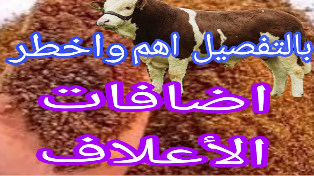 أفضل واهم اضافات الأعلاف المطلوبة لعمل خلطة علف مثالية..بالتفاصيل الدقيقة ..تابع معنا د.السيد الطوخي