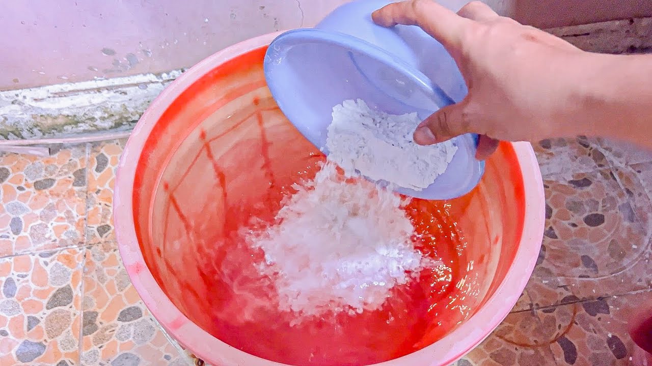 PHÒNG NẤM BỆNH CHO SEN ĐÁ VỚI NƯỚC VÔI TRONG  | 多肉植物| 다육이들 | Suculentas