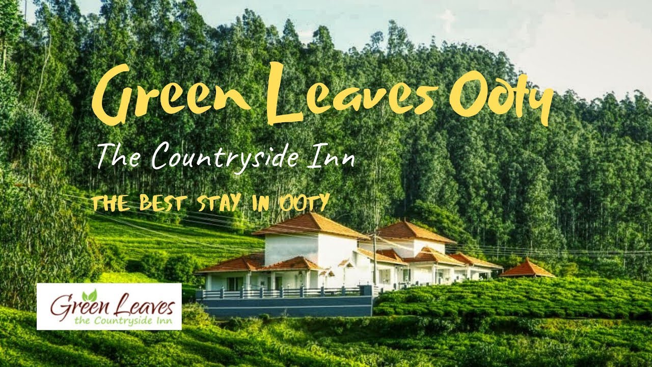 The Best Resort In Ooty | Green Leaves Country Side Inn | Resort Stay In Tamil |