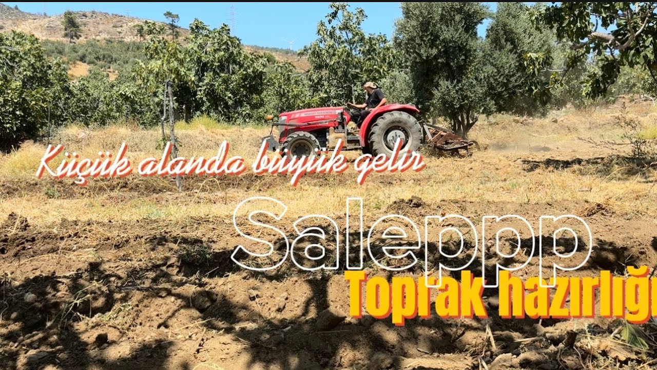 DAR ALANDA BÜYÜK KÂR SAĞLAYAN SALEP/TOPRAK HAZIRLIĞI YAPIYORUZ