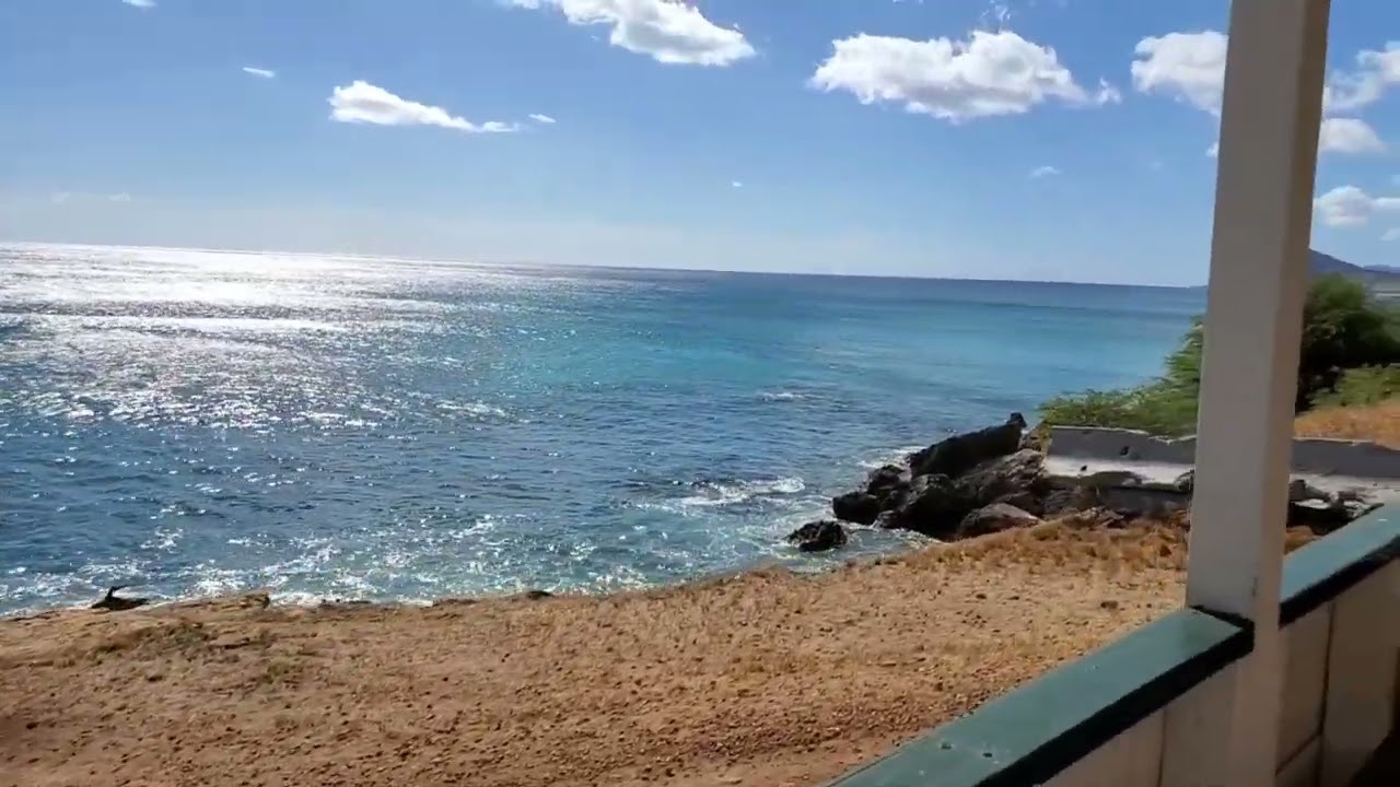 Train Ride with Hawaii Railway Society