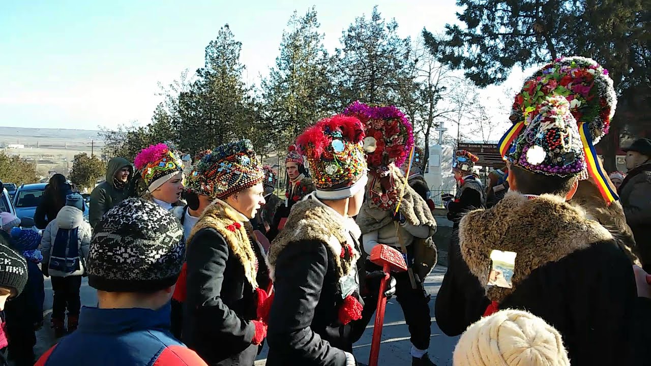 Cotnari cerbul 2015(2)
