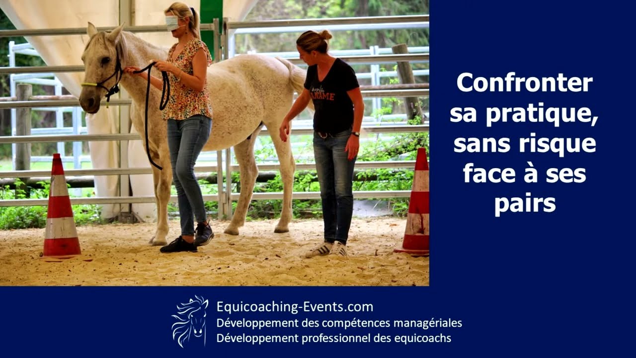Supervision equicoachs : 10 raisons de vous faire superviser