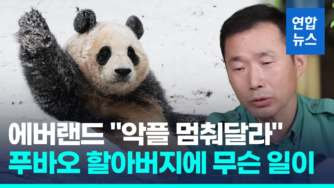 푸바오 사육사에 비난 댓글…에버랜드 