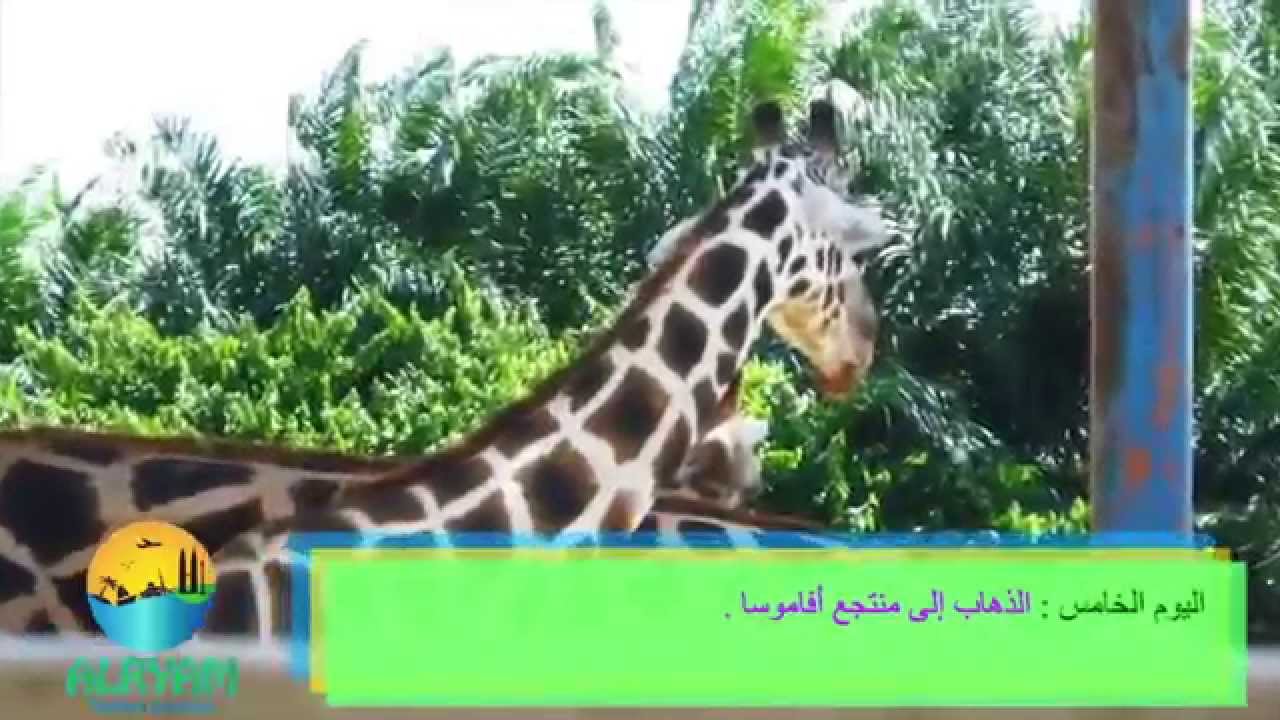 برنامج ريمة السياحي  في ماليزيا 2015 - 2016