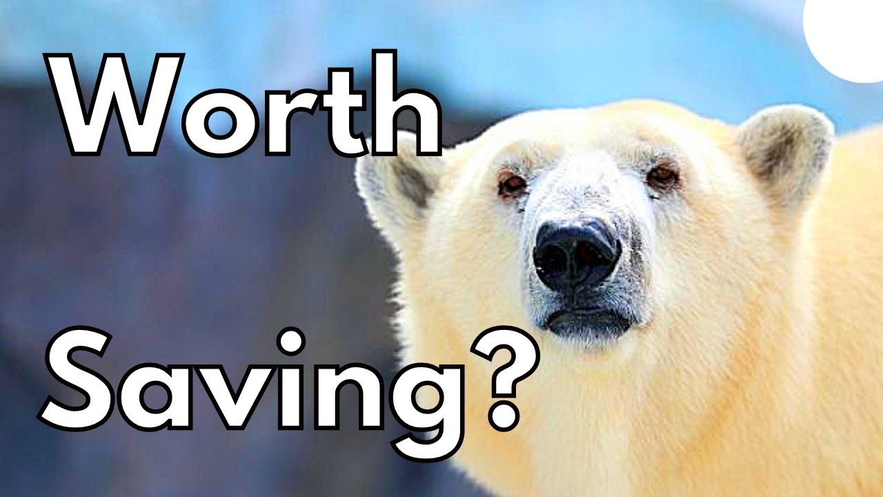 Why Save Endangered Species?