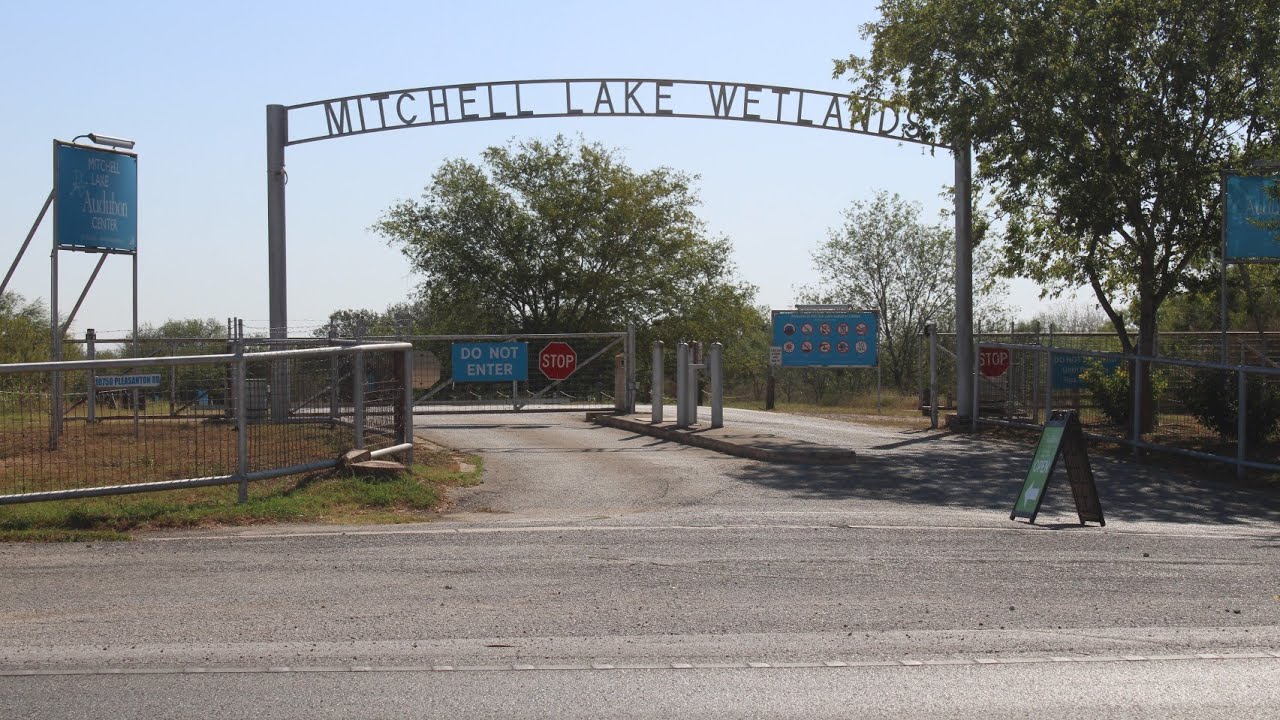 Mitchell Lake Wetlands