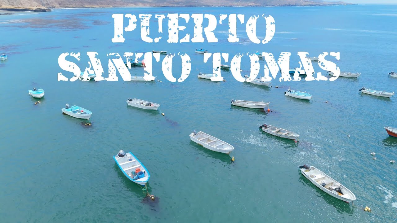 Puerto Santo Tomás en Moto: Antigua Ruta del Vino, Erizo de Mar y Tesoros Ocultos de Baja California