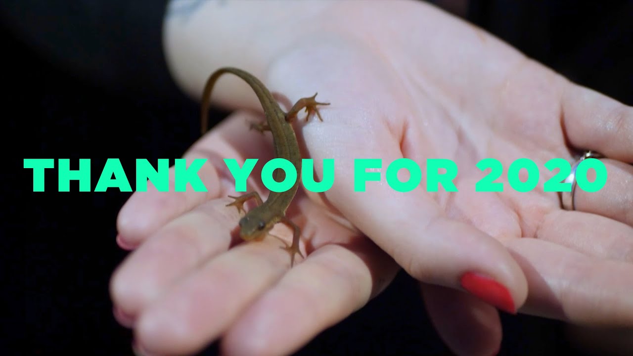 THANK YOU FOR 2020!