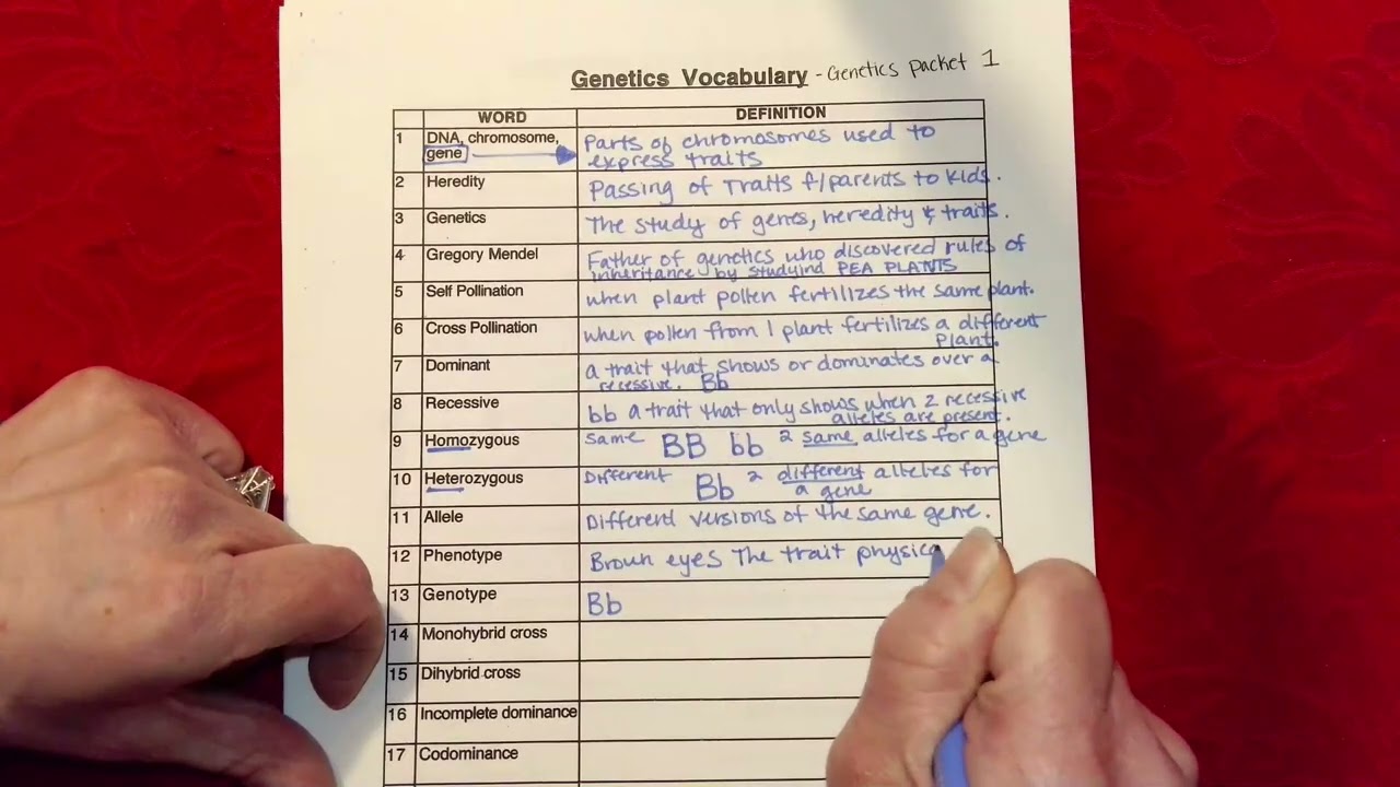 genetics vocab
