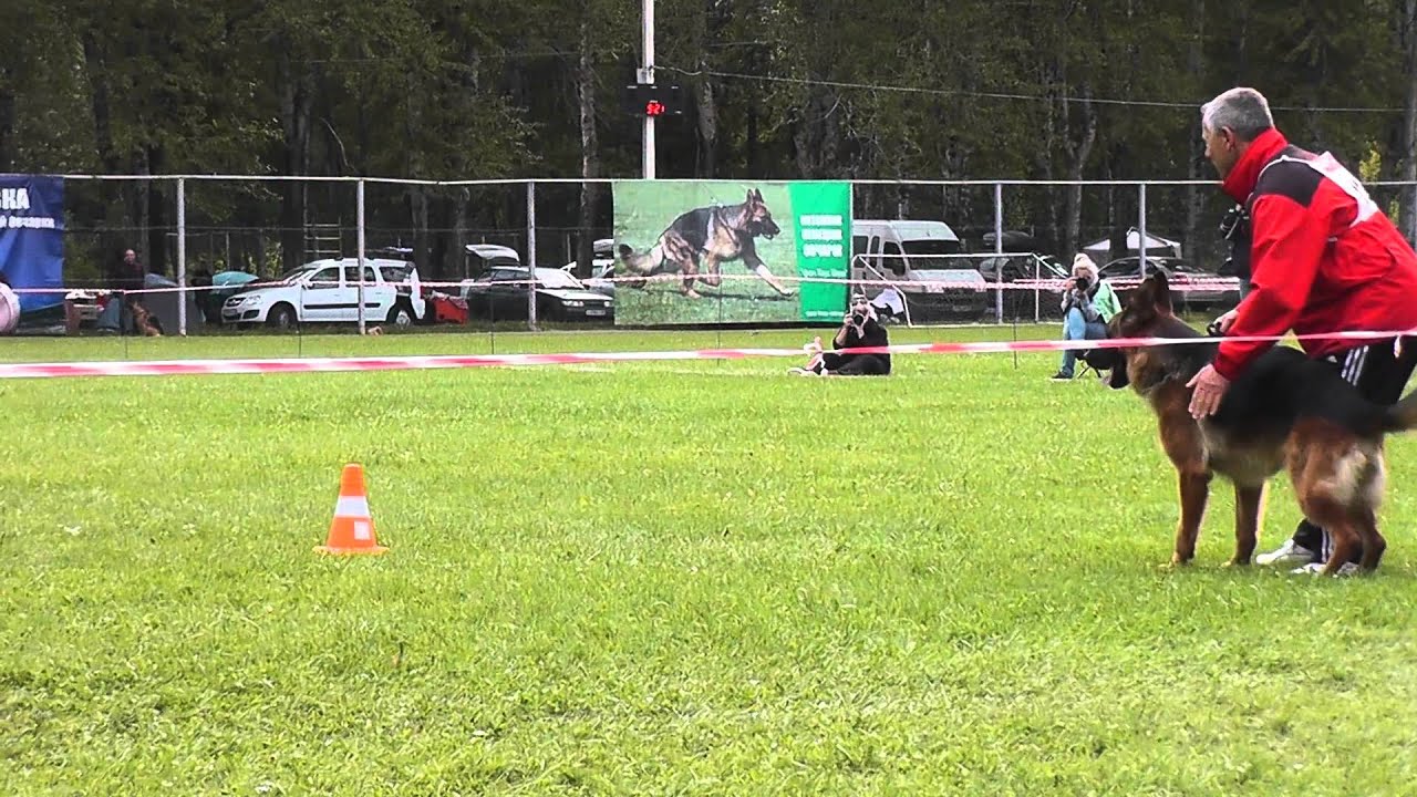 №124 + + + 5 отб отл СС VIGO VON DER GRAFSCHAFT MARK
