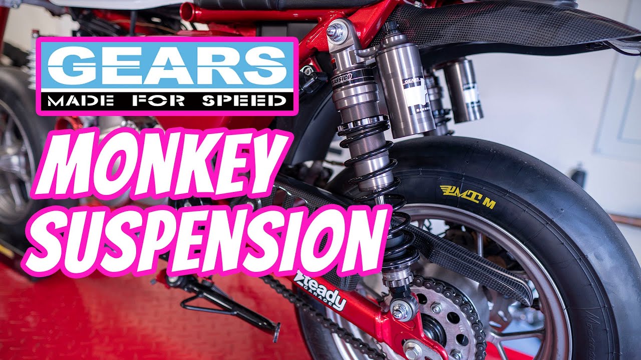 Honda Monkey Gears Racing Hill-2 Plus Suspension - Building the Track Monkey