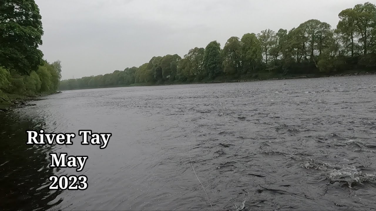 Salmon Fishing River Tay Scotland, first outing for a couple of months