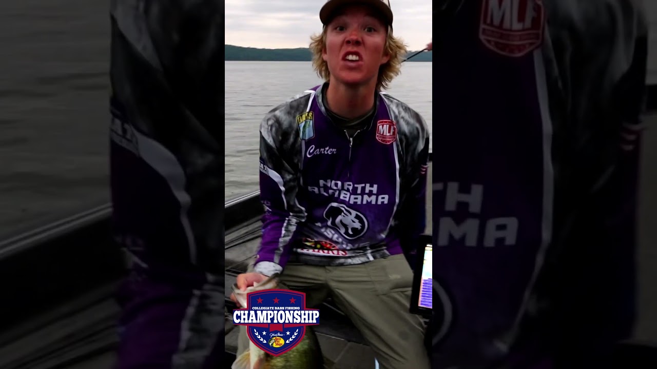8-фунтовый!!! #BassProShops #PickwickLake #VisitTheShoals #Fishing #BassFishing #BigBass