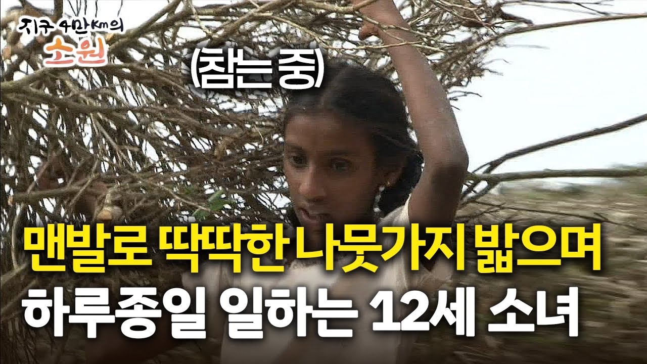[지구 4만Km의 소원] 맨발로 딱딱한 나뭇가지 밟으며 하루종일 일하는 12세 소녀