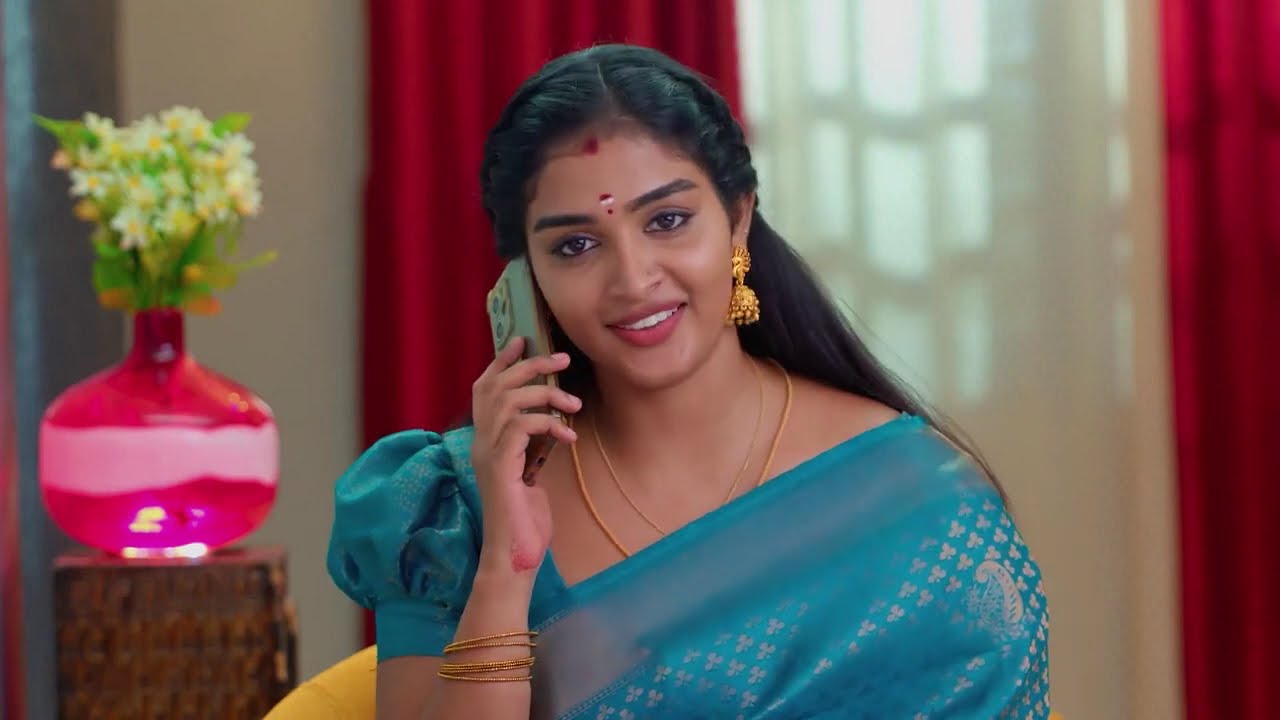 Karthigai Deepam - Full Ep - 567 - Karthikeyan, Deepa, Abirami - Zee Tamil