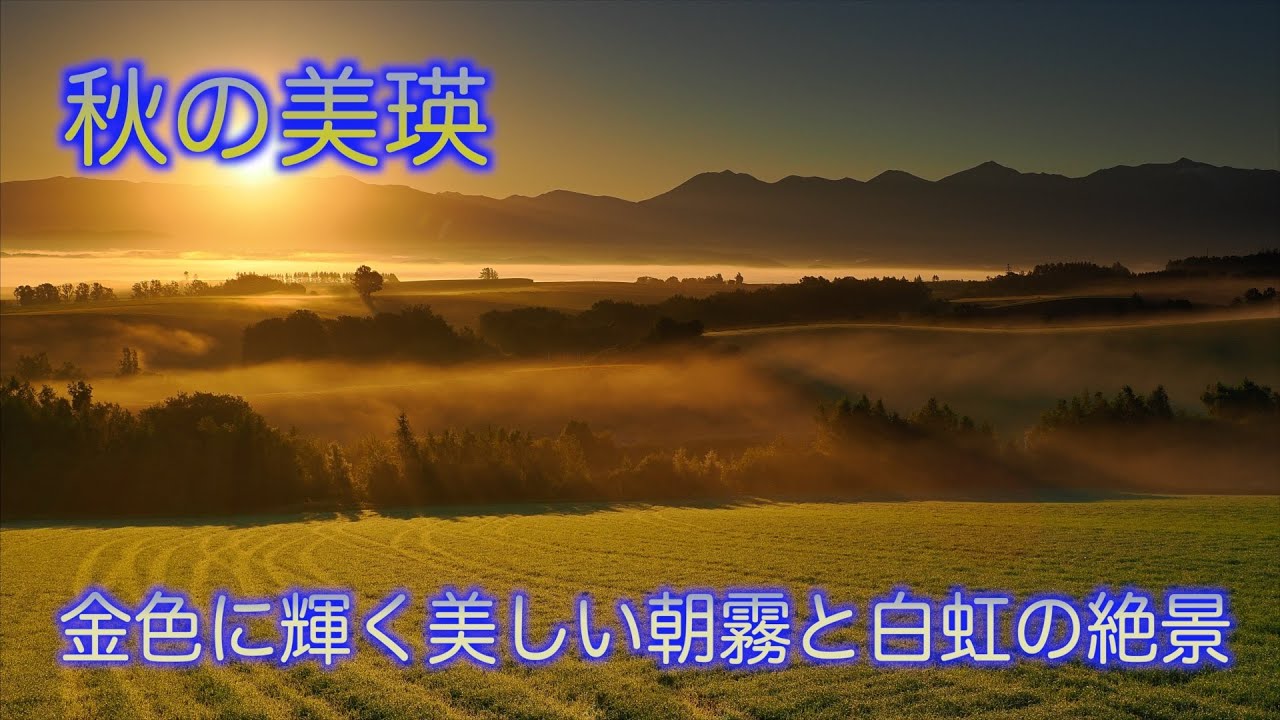 美瑛の丘をめぐる旅～2024秋編～２日目