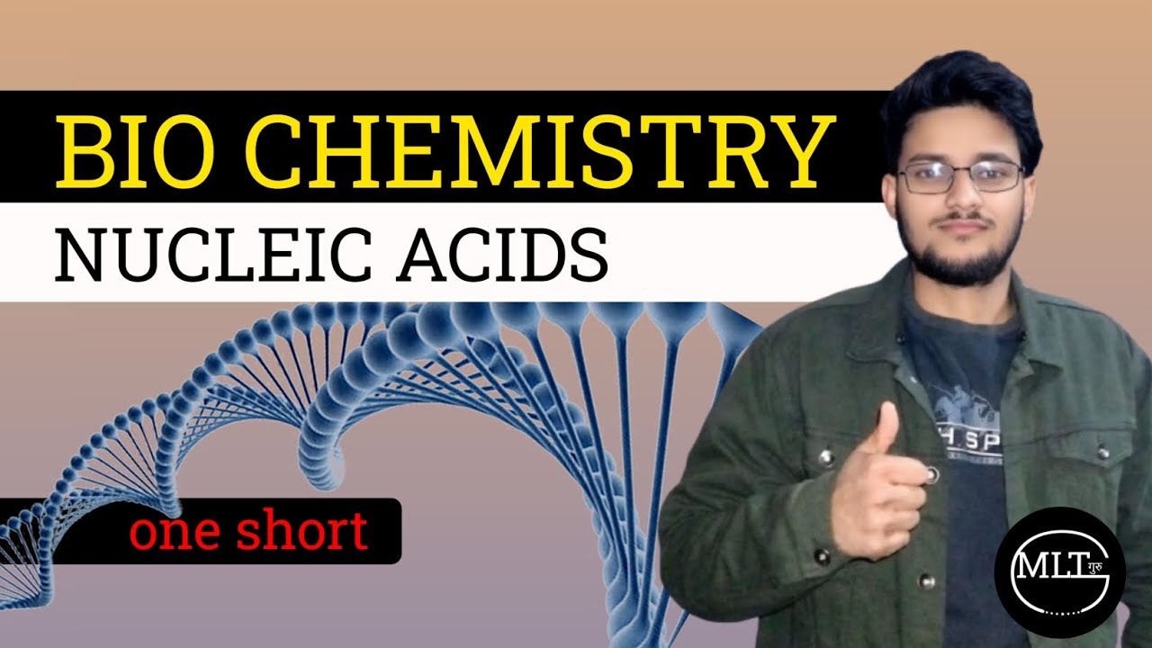 NUCLEIC ACIDS -One Shot न्यूक्लिक एसिड क्या हैं ?|Bio Chemistry||MLT||Bsc Nursing||GNM||Paramedical।