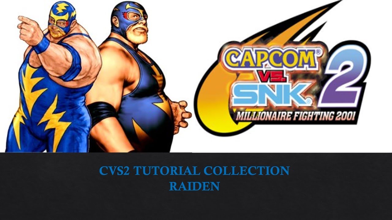 CVS2 Tutorial Collection : Raiden