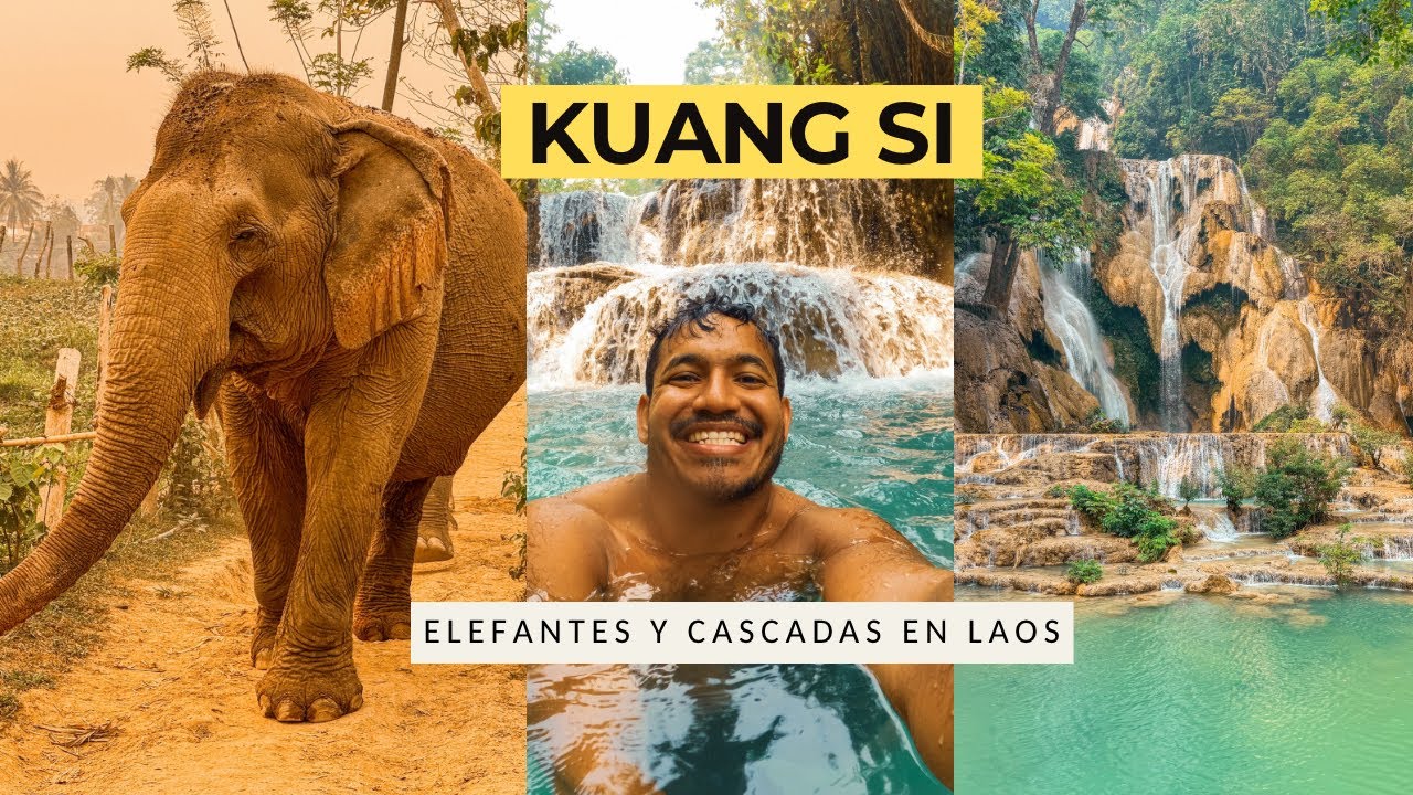 UN DÍA CON LOS ELEFANTES EN LAOS y las Cataratas Kuang Si la maravilla de Laos 🇱🇦