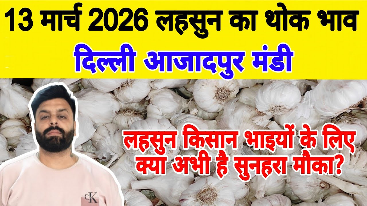 13 March 2026 | Today Garlic Market Price | Garlic Price The Shocking Prediction #mandirates