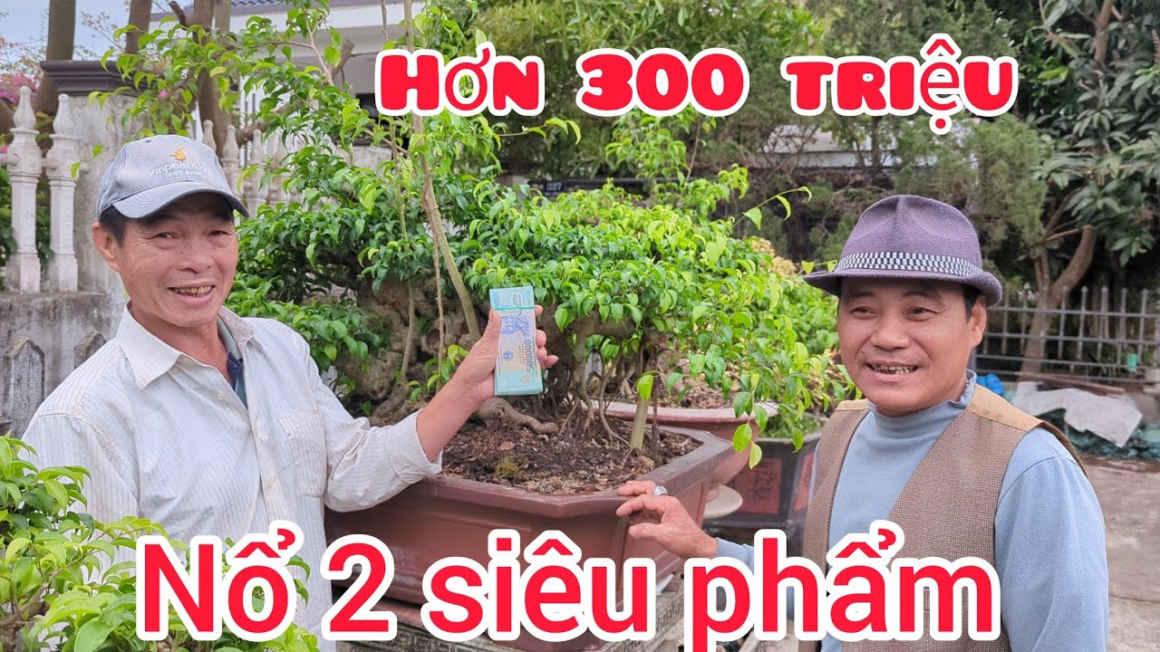 Tin hót..anh Dương như Ngọc chi 300 triệu nổ 2 tác phẩm đẹp tại vườn đại gia phúc