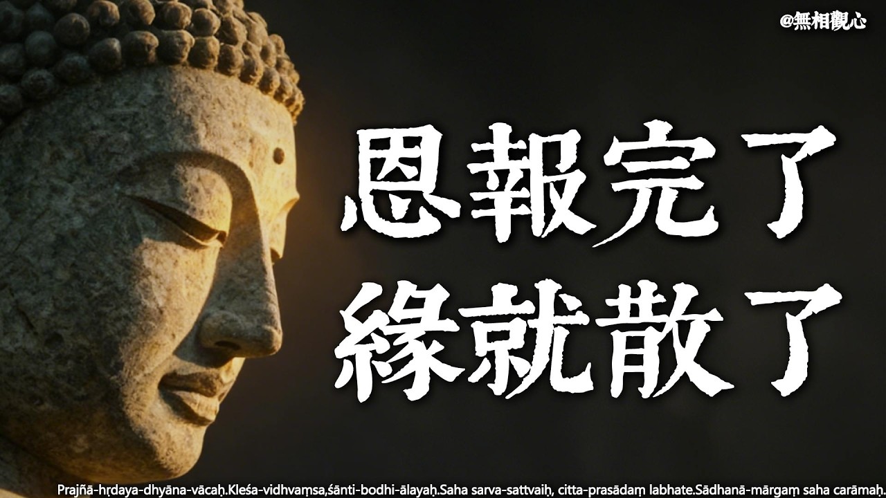 為什麼有些親人和寵物，只能陪你短短一程？佛陀揭秘：這不是命薄，而是「報恩」來了#因果 #業力 #輪迴 #療癒