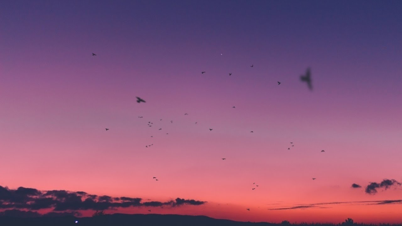 Alef - Under Pink Skies
