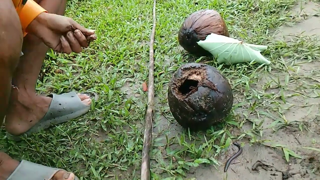 HANAP NG PANG ULAM MGA IDOL!#buhayprobinsya#ulam