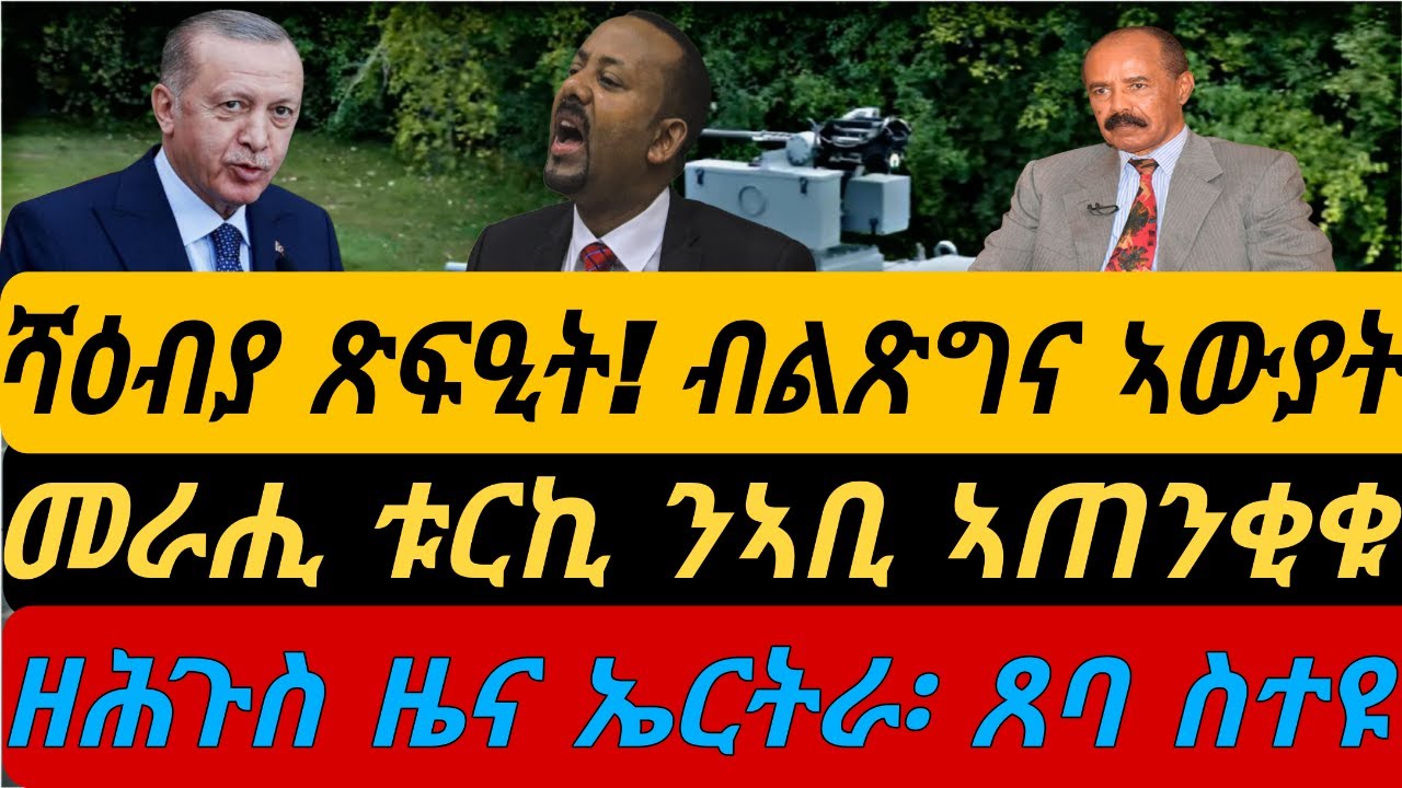 ሻዕብያ መራር ጽፍዒት፡ ብልጽግና ኣውያት።  መራሒ ቱርኪ ንኣቢ ኣጠንቂቁዎ፡ ግደፍ። ዘሕጉስ ዜና ኤርትራ፡ ጸባ ስተዩ። ብቀጥታ ብኣቆጻጽራ በርሊን ስዓት 8