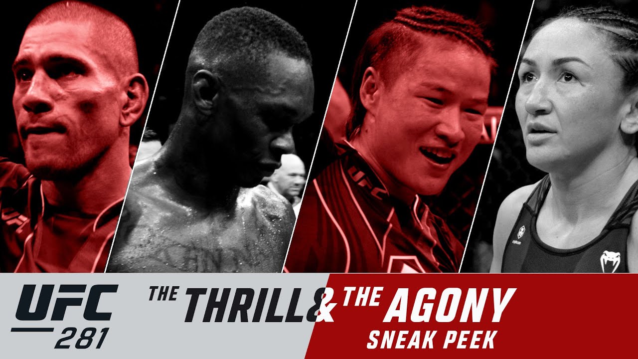 UFC 281: Азарт и агония | Предварительный обзор