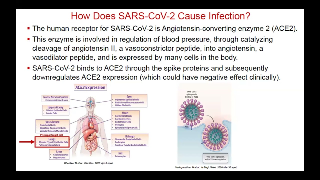 Dr Liz Whittaker, Consultant Paediatric Immunologist - on PIMS TS