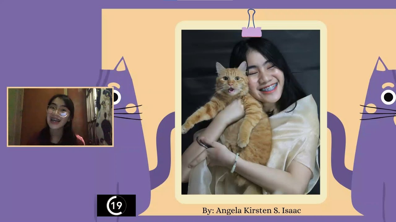 Why you should have a cat (Pecha kucha presentation)