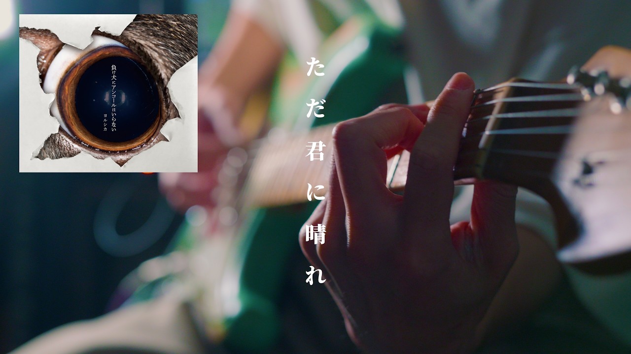「ただ君に晴れ」が名曲すぎた／ヨルシカ#guitar #弾いてみた
