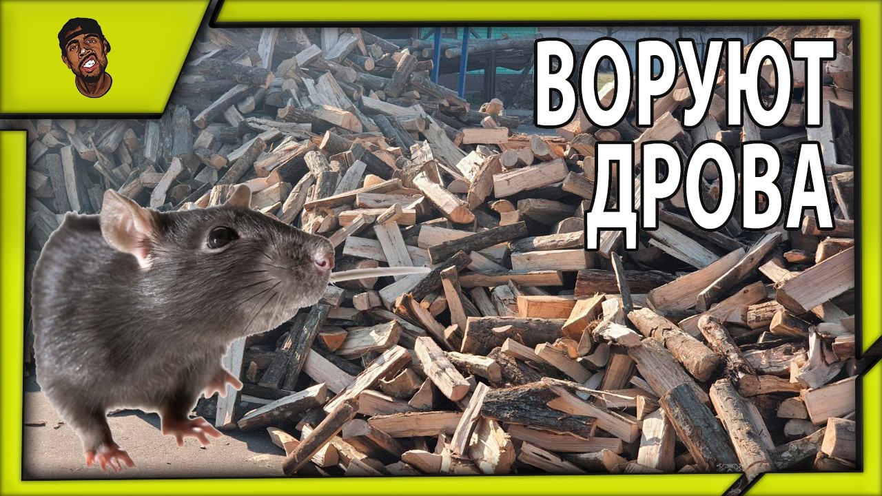СОСЕДИ ВОРУЮТ ДРОВА | Усадьба Вебмансера №13