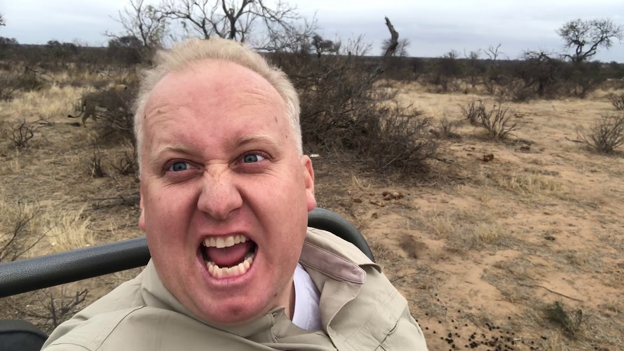 South Africa, Timbavati