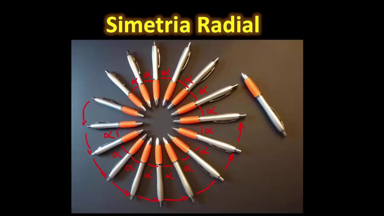 Simetria radial: O que &eacute;? Como se define? - Matem&aacute;tica - HORA DO ENEM